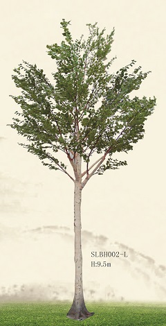 Trees/SLBH002L
