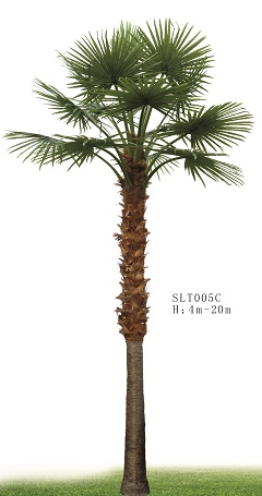 Trees/SLT005C