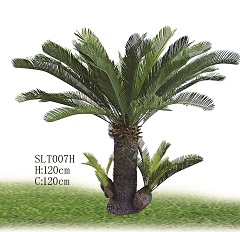 Trees/SLT007H.jpg