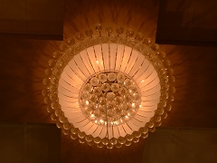 ceilinglights/3031.jpg