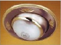 downlighters/ZJ112SNG