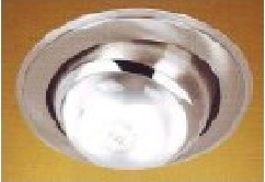 downlighters/zjsnn.jpg