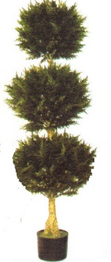 tree1.jpg